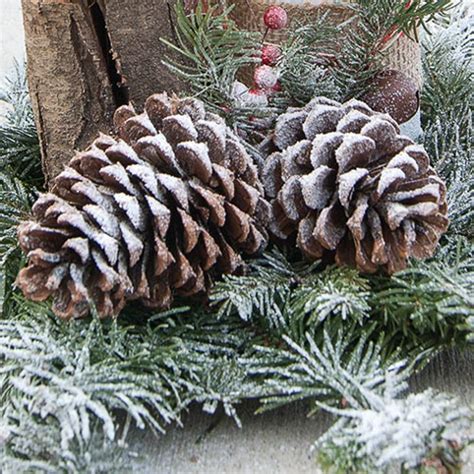 How To Make Snow Covered Pine Cones An Ultimate Guide Bren Did