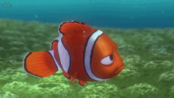 Ocean Fish Animated Gifs Underwater Amazing Pictures