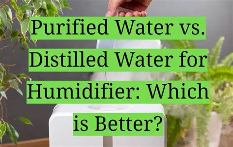 Purified Water Vs Distilled Water For Humidifier Which Is Better