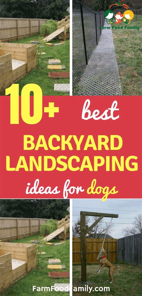 24 Great Dog Friendly Backyard Landscaping Ideas And Designs For 2023