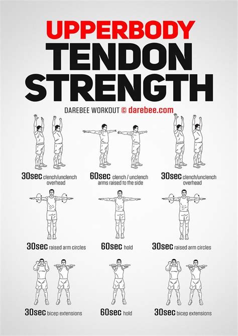 Upperbody Tendon Strength Workout Body Workout At Home Planet Fitness