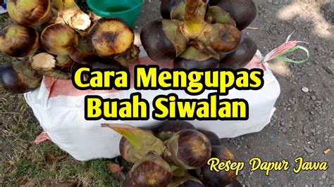 Cara Mengupas Buah Siwalanhow To Peel Palm Fruit Youtube