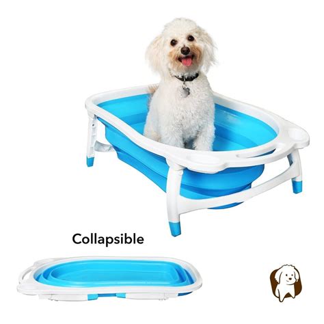Best Dog Bath Tub of 2021 - Top Bath Tubs for Dogs Reviewed