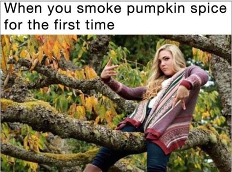 Pin By Erin Reed Waters On Funny Fall Memes White Girl Meme Basic