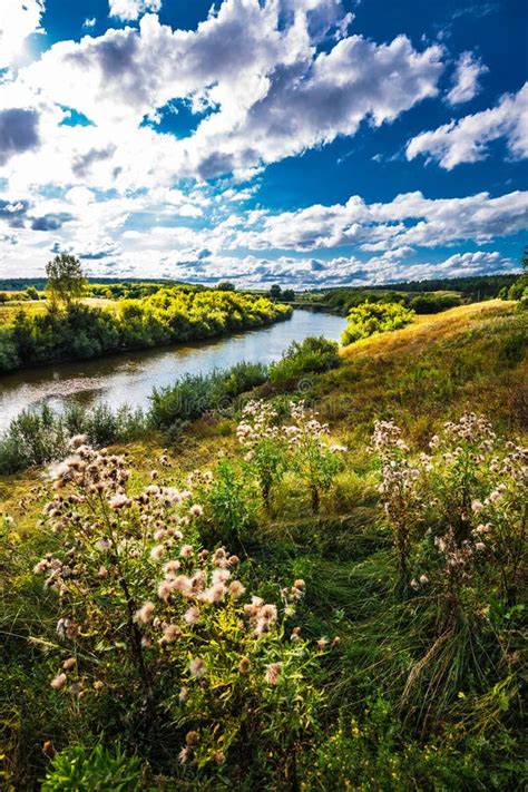 Summer River Landscape Siberia Russia Stock Photo Image Of Flora