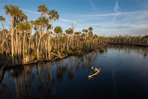Top 10 Reasons to Live in Citrus County — Villages of Citrus Hills