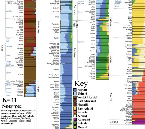 A Race By Race Breakdown Of Human Genetic Diversity Illustrated Guide