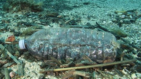 La Quantité De Plastique Accumulée Dans Les Océans Pourrait Doubler D