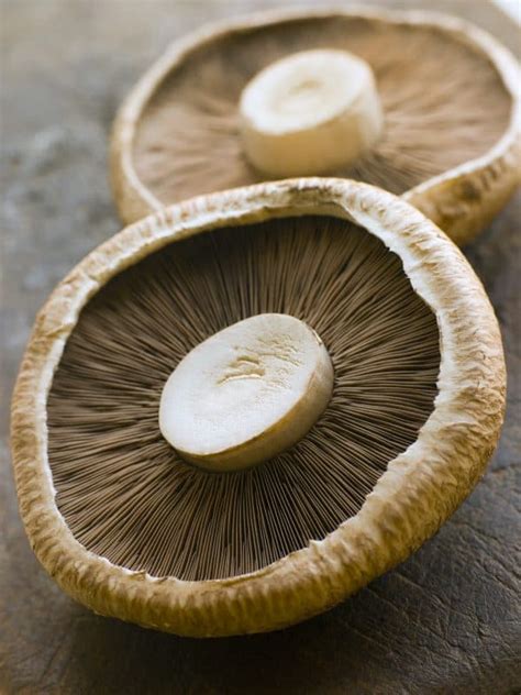 How to cook portabella mushrooms. Grilled Portobello Mushroom Recipe - The Kitchen Girl