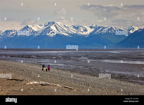 Anchorage Alaska Usa Low Tide In Turnagain Arm Of Cook Inlet And