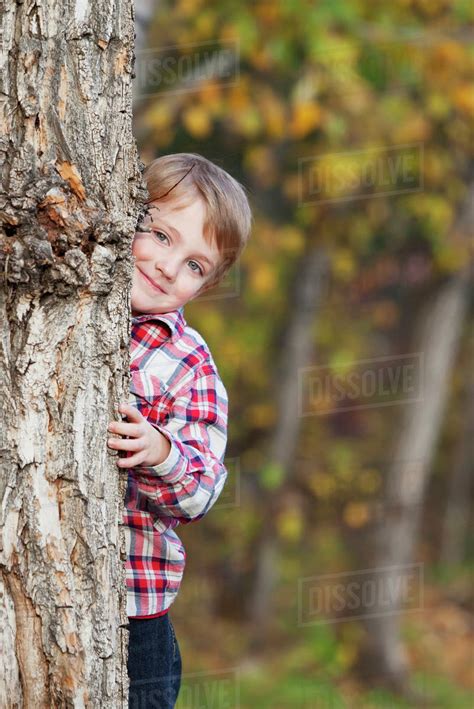 A Young Boy Hiding Behind A Tree In Autumn Edmonton Alberta Canada