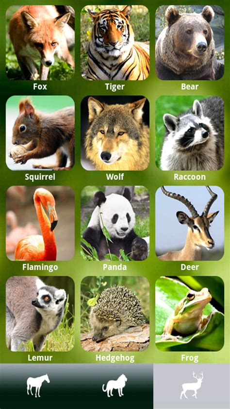 Zoola Best Animal App For Kids Appstore For Android