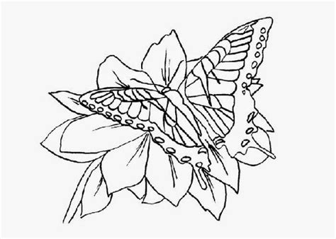 Download Adult Coloring Pages Cats And Dogs - Colorings.net