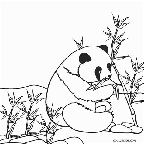 Dibujos De Panda Para Colorear Páginas Para Imprimir Gratis
