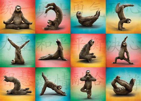 Sloth Yoga 1000 Piece Puzzle