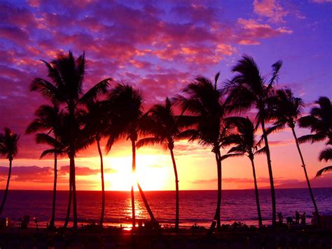 40 Sunset Hawaii Beach Wallpapers On Wallpapersafari