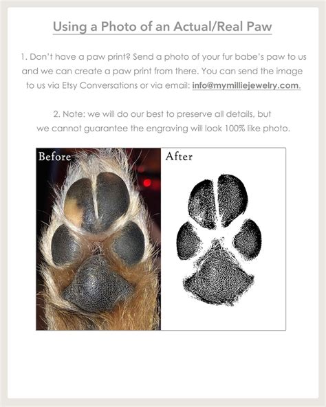 Paw Print Editing Fees For Photos Of Actual Paws Etsy