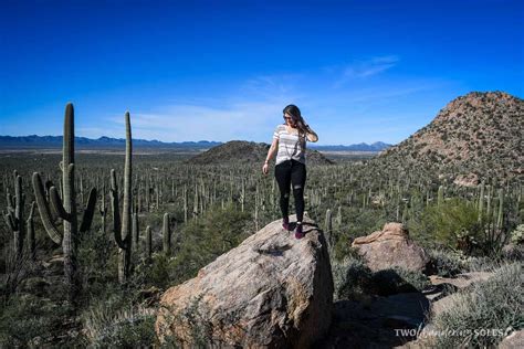 38 Fun Things To Do In Tucson Arizona Two Wandering Soles