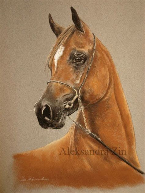 Arabian In Soft Pastels Western Paintings Horse Paintings Pastel