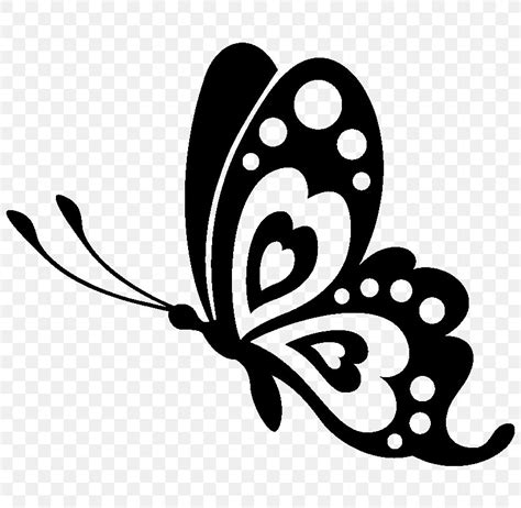 Butterfly Stencil Silhouette Drawing Png 800x800px Butterfly