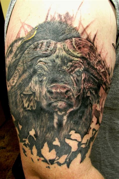 Https://tommynaija.com/tattoo/cape Buffalo Tattoo Designs