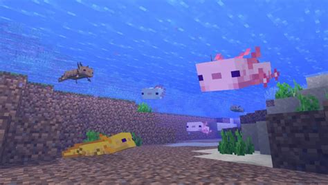 How To Find Tame And Breed Minecraft Axolotls 2022
