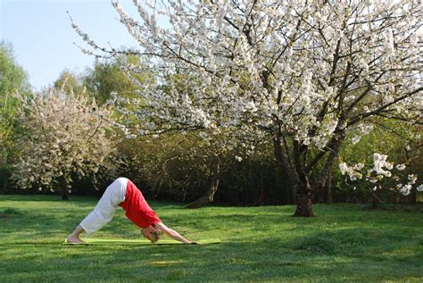 Maybe you would like to learn more about one of these? Yoga Vacation | Ashram de Yoga Sivananda | Classical Yoga ...