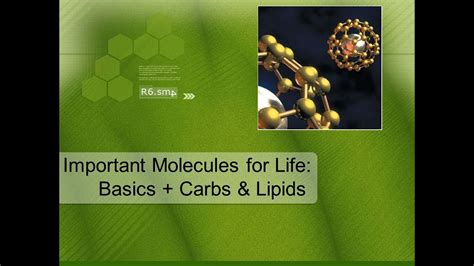 Important Biological Molecules Carbohydrates Lipids Youtube