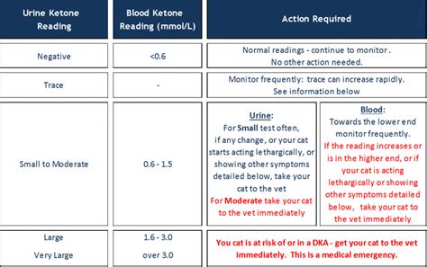 Ketones And Diabetic Cats