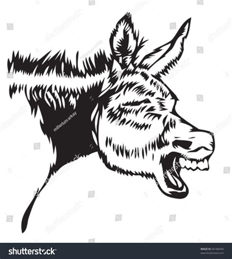 Laughing Donkey Stock Vector 66186094 Shutterstock