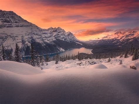 Wallpaper Sunset Snow Winter Lake Canada Mountains Banff Peyto Photo