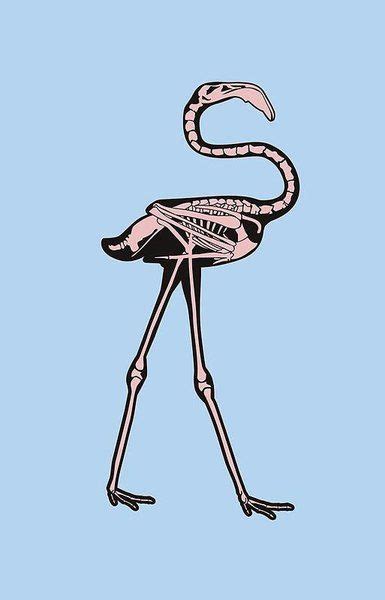 Flamingo Skeleton Diy