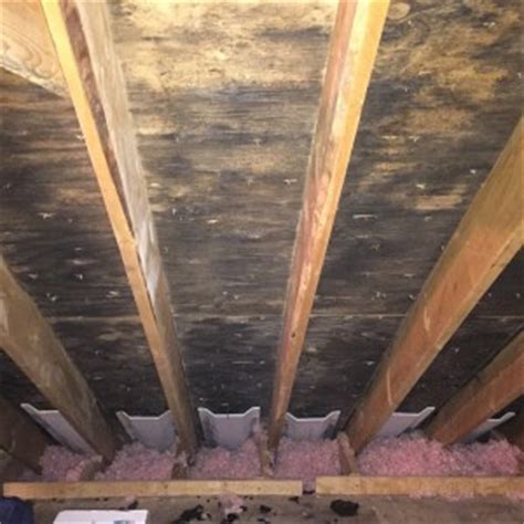 T t t t t t t all air leaks through the top floor ceiling are completely sealed insulation levels meet or exceed. What causes attic mold?