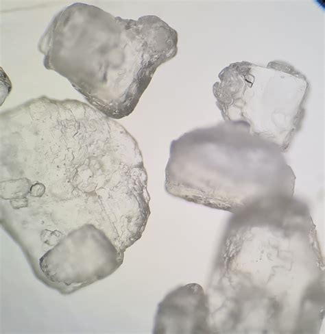 Salt Under The Microscope