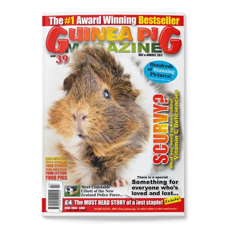 Issue 39 Print Only Guinea Pig Magazine