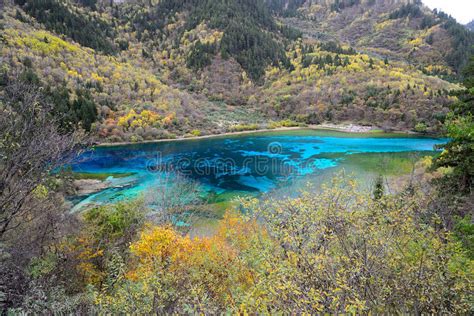 Five Flower Lake Jiuzhaigou Stock Image Image Of Paradise Fresh