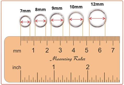 Quick Guide To Nose Ring Sizes On Nose Why The Sizing Is Important