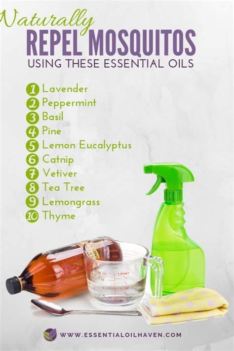 Essential Oils For Mosquito Repellent Plus Diy Bug Spray Recipes