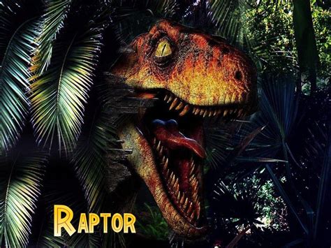 Jurassic Park Velociraptor Wallpapers Top Free Jurassic Park Velociraptor Backgrounds