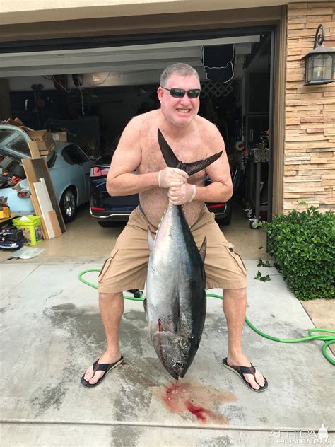 Bluefin Tuna Fishing