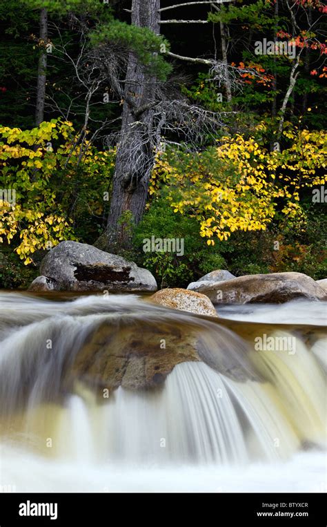 Lower Falls On The Swift River With Autumn Color In The White Mountains