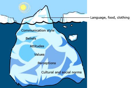 Reaction mechanisms, environmental impact and health effects. Apply cultural awareness to all workplace and professional ...