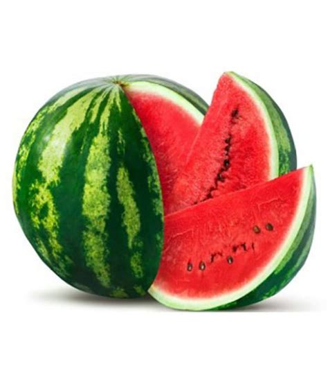 Hybrid Watermelon Seeds For Super Sweet Round Shape Fruits Green Pack Of 10 Seeds