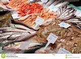 Seafood Meat Market Pictures