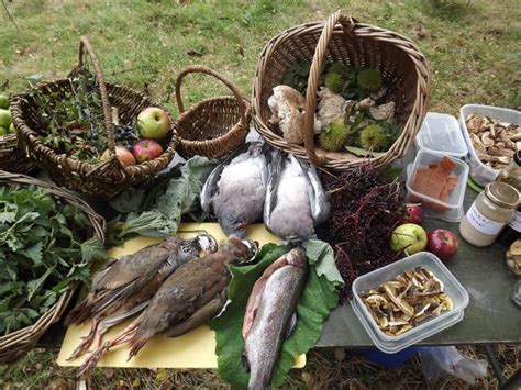 Wildfood And Wilderness Cookery Day Woodland Survival Crafts