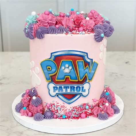 Paw Patrol Birthday Cake Ideas Paw Patrol Birthday Cake Bennetts Hot