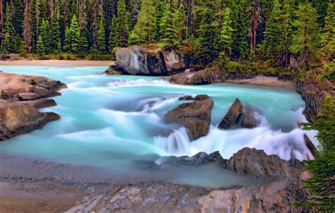 Wallpaper Forest River Canada Canada British Columbia British