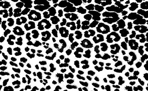 Leopard Print Stock Illustration Illustration Of Color 25263070