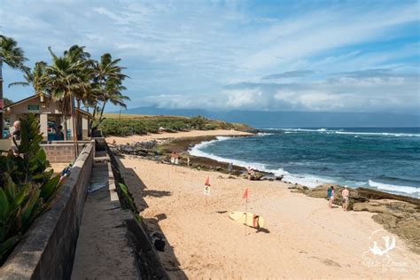 🐢 Hookipa Beach Maui The Ultimate 2024 Guide ⋆ We Dream Of Travel Blog