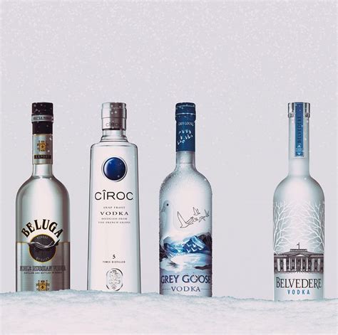 Los Mejores Vodkas Baratos Mejores Vodkas Calidad Precio